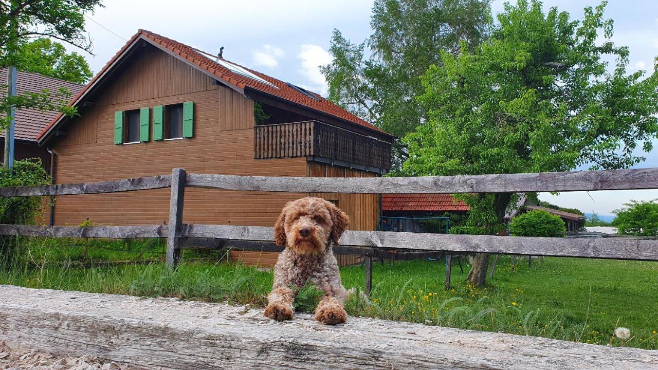 Guesthouse La Moliere, 3 Bedrooms, Private House, Horse Farm, Full Nature Murist Exterior foto